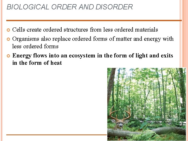 BIOLOGICAL ORDER AND DISORDER Cells create ordered structures from less ordered materials Organisms also