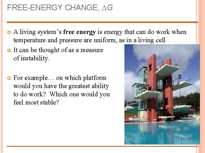FREE-ENERGY CHANGE, G A living system’s free energy is energy that can do work