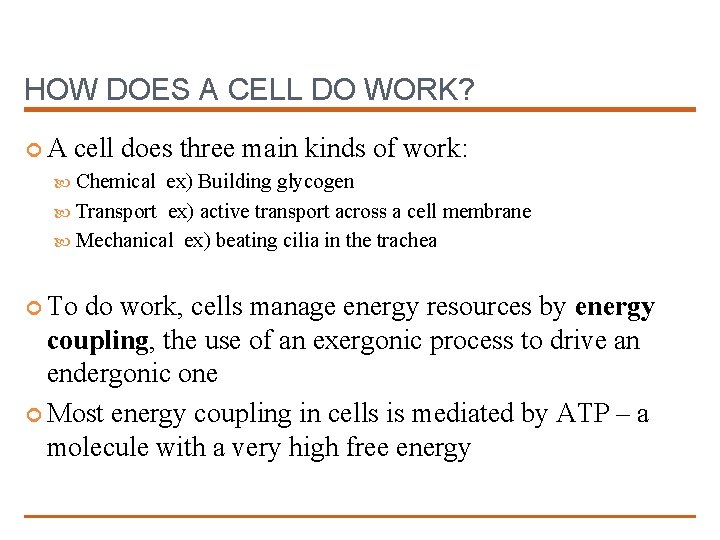 HOW DOES A CELL DO WORK? A cell does three main kinds of work: