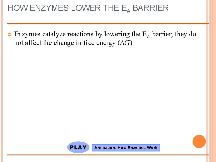 HOW ENZYMES LOWER THE EA BARRIER Enzymes catalyze reactions by lowering the EA barrier;
