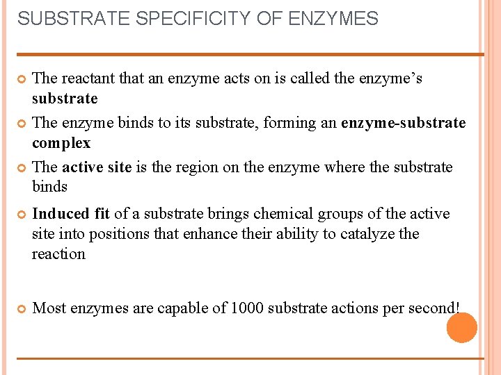 SUBSTRATE SPECIFICITY OF ENZYMES The reactant that an enzyme acts on is called the