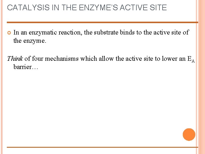 CATALYSIS IN THE ENZYME’S ACTIVE SITE In an enzymatic reaction, the substrate binds to