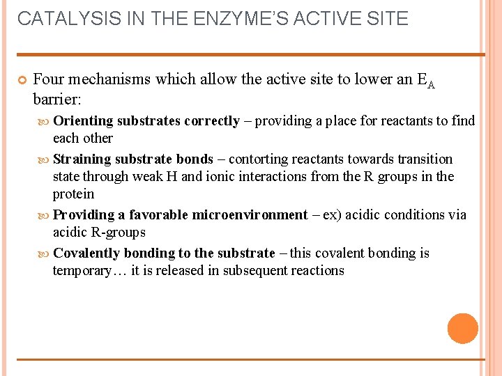 CATALYSIS IN THE ENZYME’S ACTIVE SITE Four mechanisms which allow the active site to