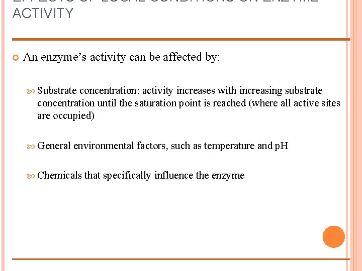 EFFECTS OF LOCAL CONDITIONS ON ENZYME ACTIVITY An enzyme’s activity can be affected by: