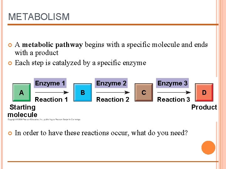 METABOLISM A metabolic pathway begins with a specific molecule and ends with a product