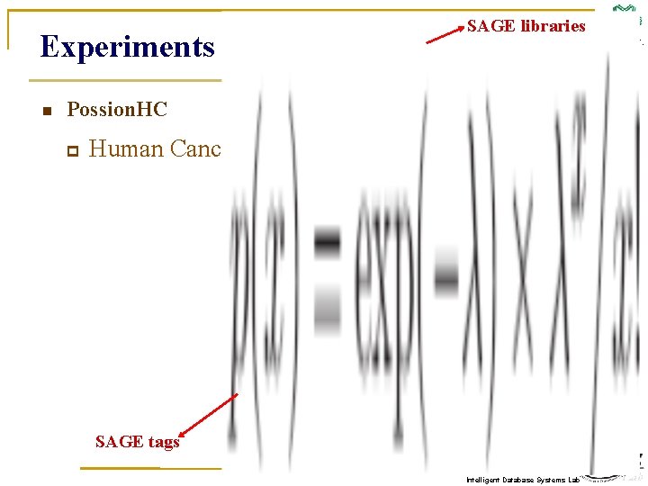 Experiments n SAGE libraries N. Y. U. S. T. I. M. Possion. HC p