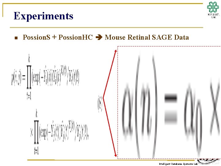 Experiments n N. Y. U. S. T. I. M. Possion. S + Possion. HC