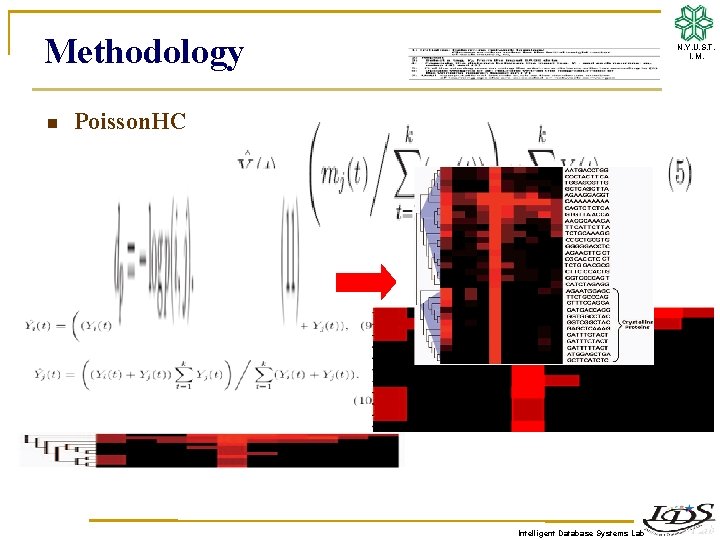 Methodology n N. Y. U. S. T. I. M. Poisson. HC Intelligent Database Systems