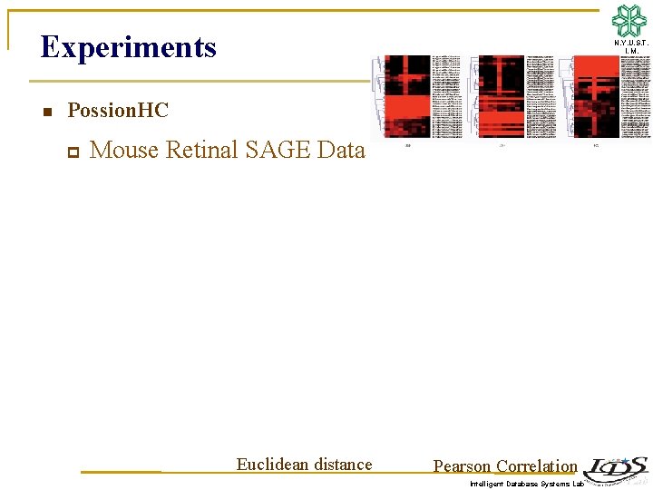 Experiments n N. Y. U. S. T. I. M. Possion. HC p Mouse Retinal