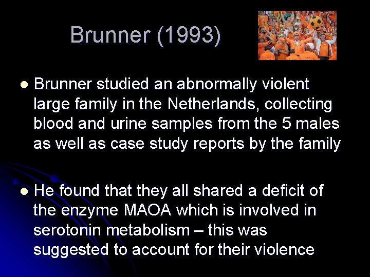 Brunner (1993) l Brunner studied an abnormally violent large family in the Netherlands, collecting