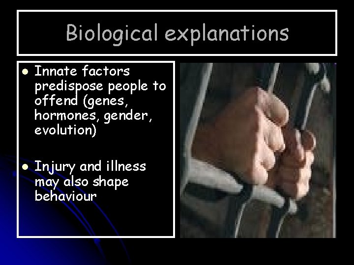 Biological explanations l l Innate factors predispose people to offend (genes, hormones, gender, evolution)