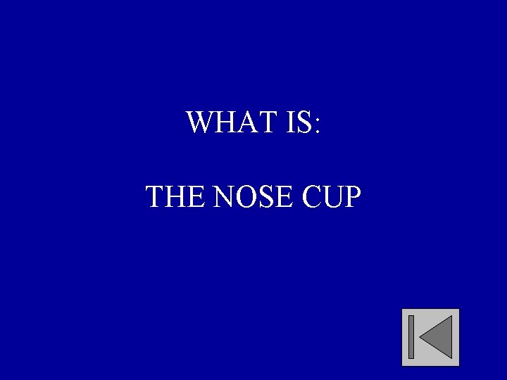 WHAT IS: THE NOSE CUP 