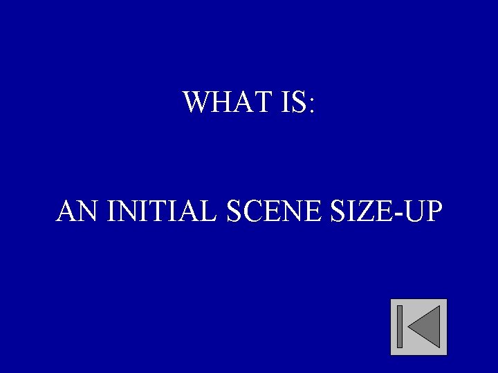 WHAT IS: AN INITIAL SCENE SIZE-UP 
