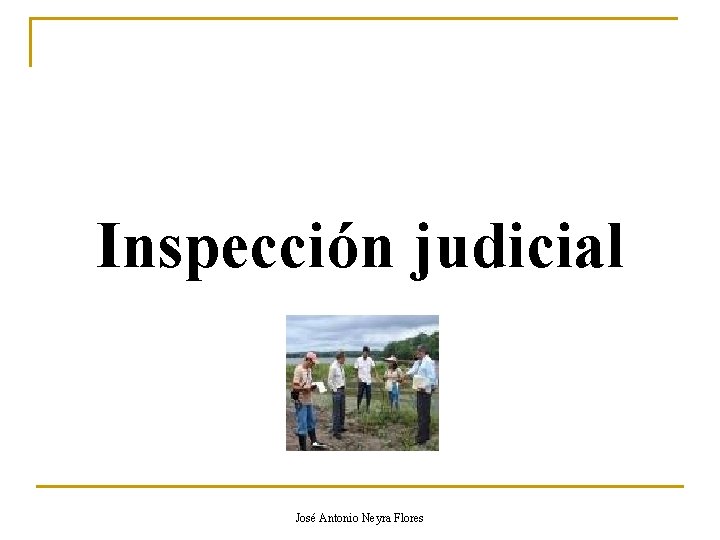 Inspección judicial José Antonio Neyra Flores 