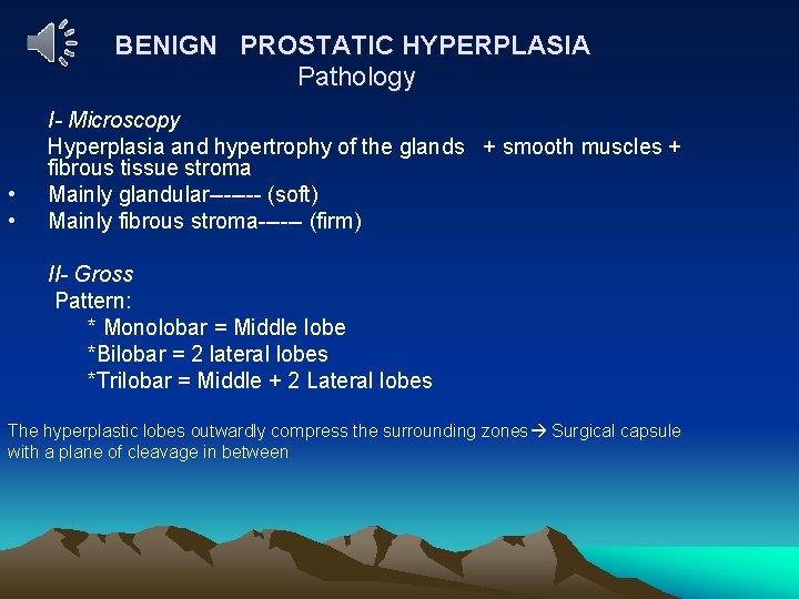 BENIGN PROSTATIC HYPERPLASIA Pathology • • I- Microscopy Hyperplasia and hypertrophy of the glands