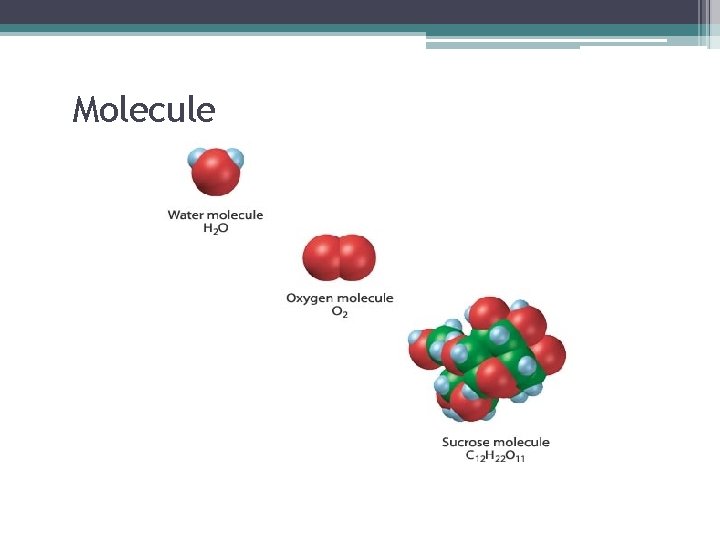 Molecule 