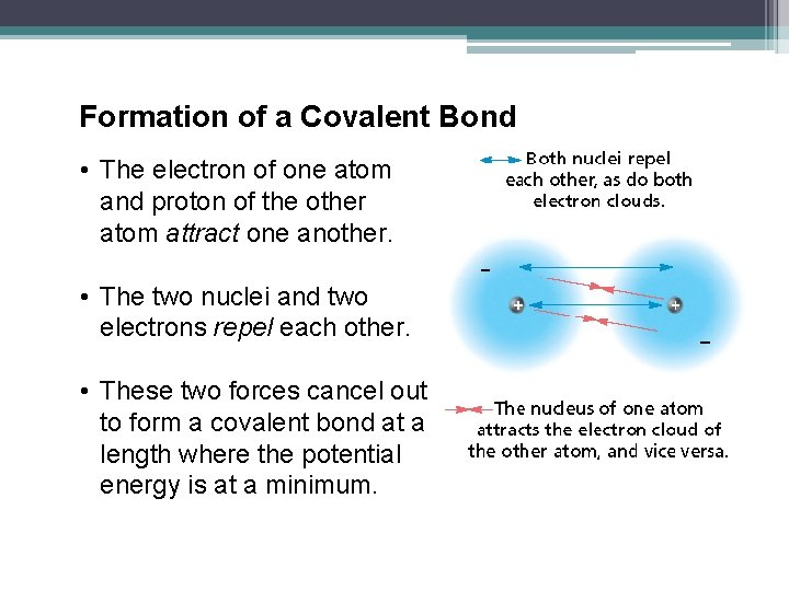 Formation of a Covalent Bond • The electron of one atom and proton of