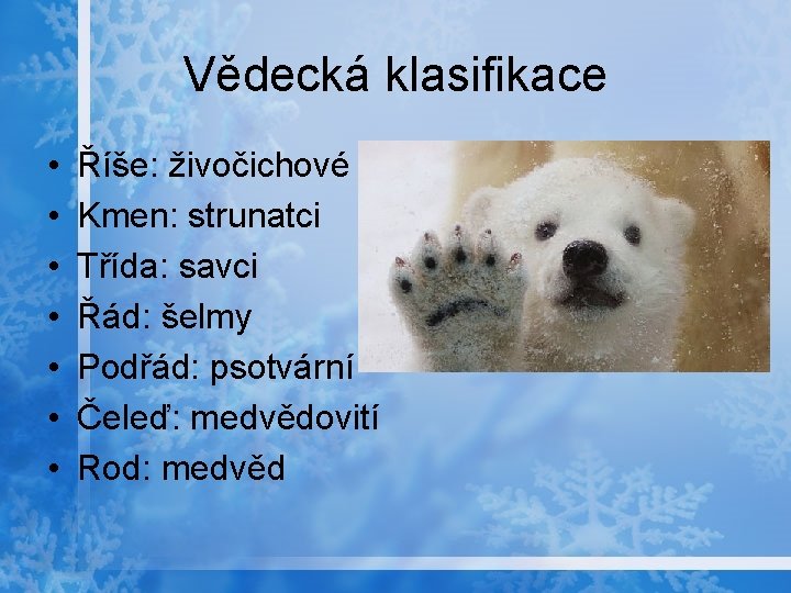 Vědecká klasifikace • • Říše: živočichové Kmen: strunatci Třída: savci Řád: šelmy Podřád: psotvární