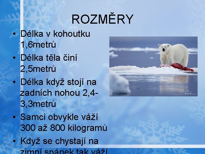 ROZMĚRY • Délka v kohoutku 1, 6 metrů • Délka těla činí 2, 5