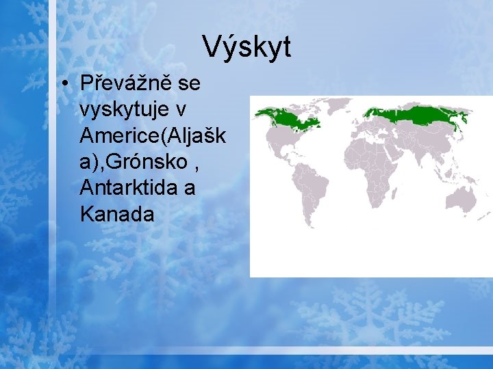 Výskyt • Převážně se vyskytuje v Americe(Aljašk a), Grónsko , Antarktida a Kanada 