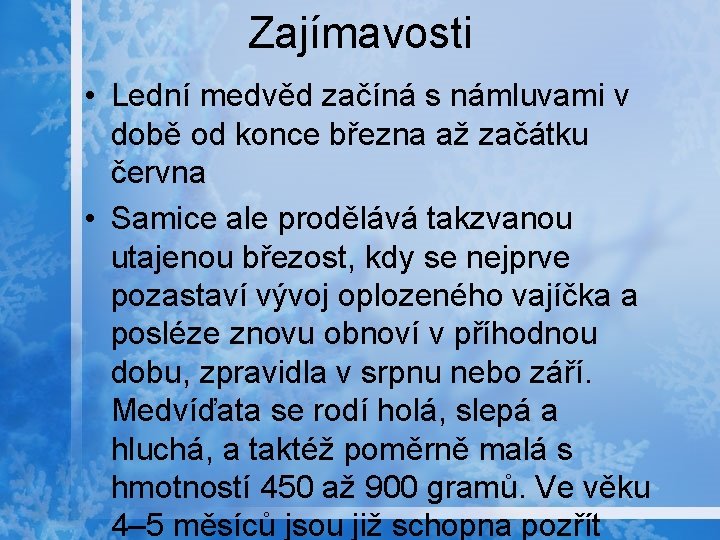 Zajímavosti • Lední medvěd začíná s námluvami v době od konce března až začátku