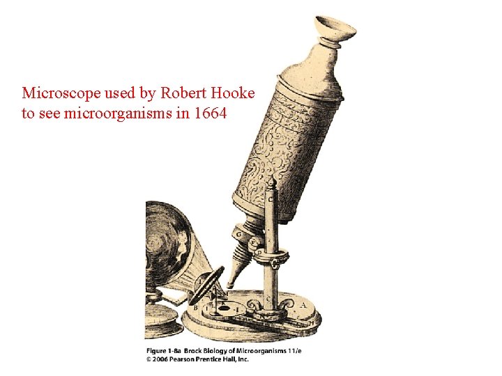 Microscope used by Robert Hooke to see microorganisms in 1664 