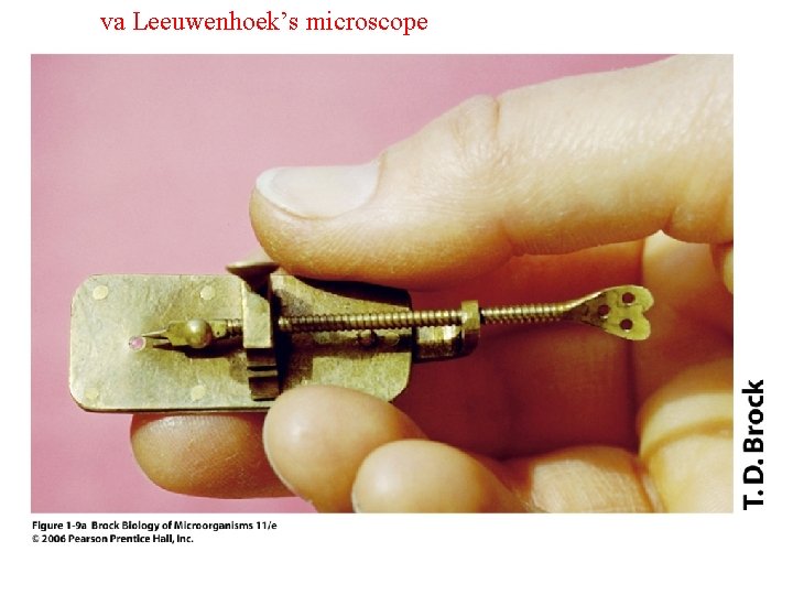 va Leeuwenhoek’s microscope 