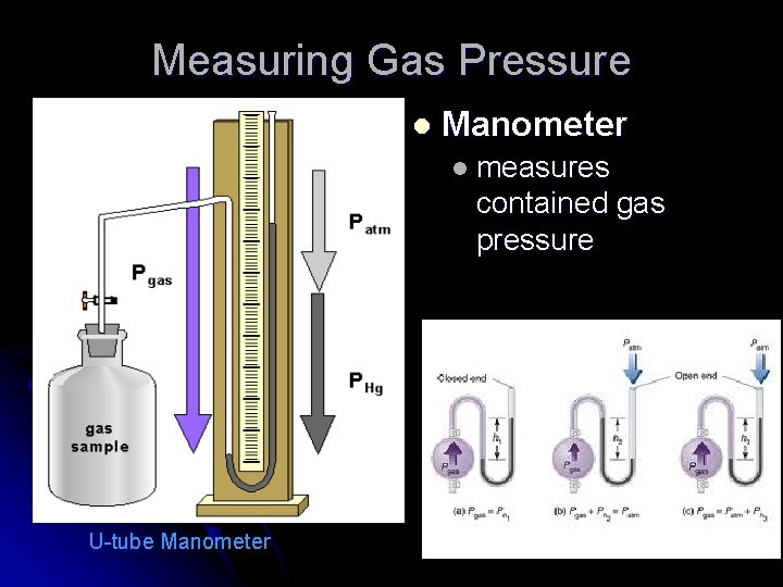 Measuring Gas Pressure l Manometer l measures contained gas pressure U-tube Manometer 