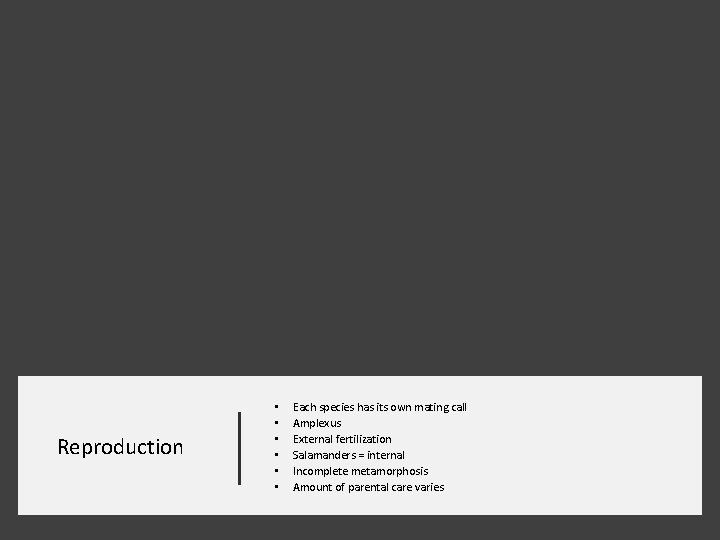 Reproduction • • • Each species has its own mating call Amplexus External fertilization
