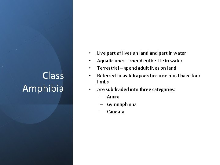 Class Amphibia • • • Live part of lives on land part in water