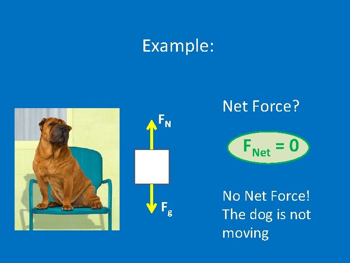 Example: FN Net Force? FNet = 0 Fg No Net Force! The dog is