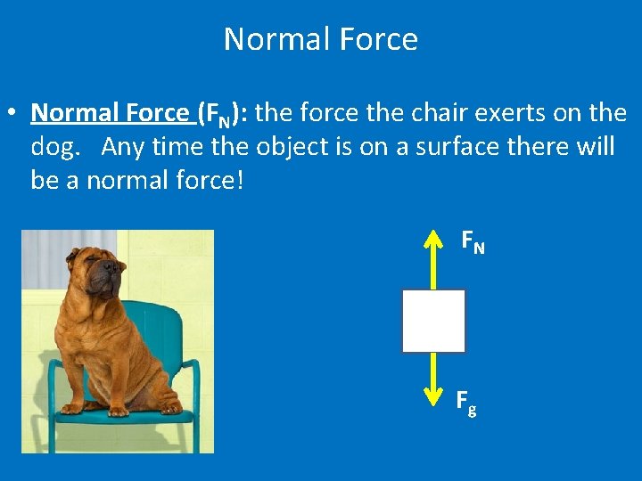Normal Force • Normal Force (FN): the force the chair exerts on the dog.