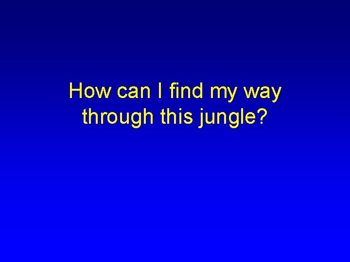 How can I find my way through this jungle? 