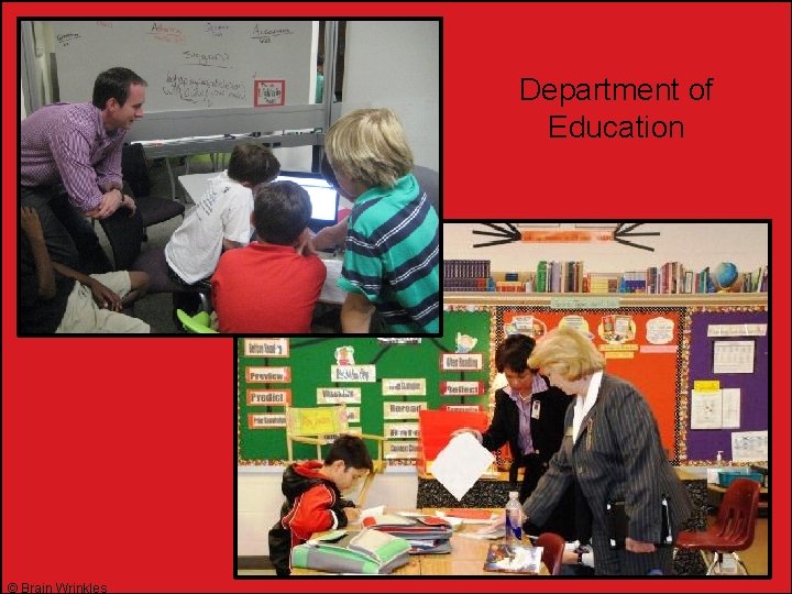 Department of Education © Brain Wrinkles 