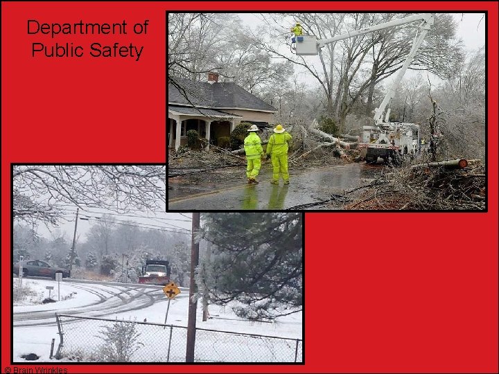 Department of Public Safety © Brain Wrinkles 