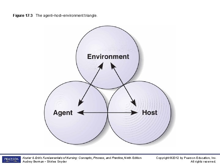 Figure 17 -3 The agent–host–environment triangle. Kozier & Erb’s Fundamentals of Nursing: Concepts, Process,