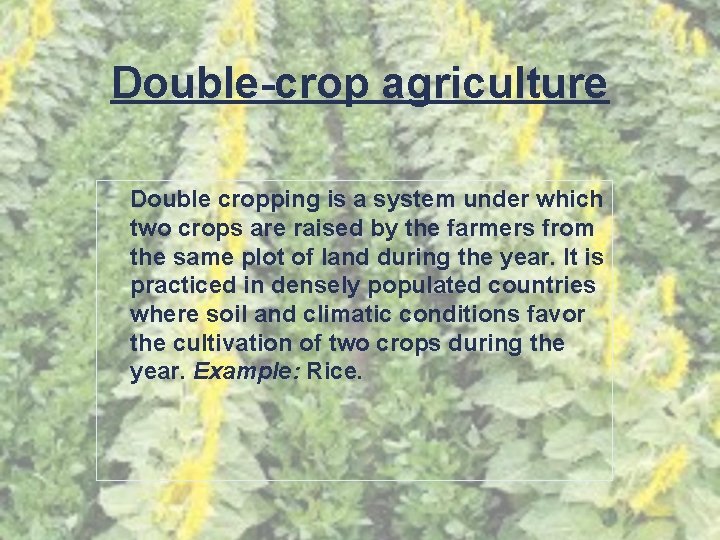 Double-crop agriculture Double cropping is a system under which two crops are raised by