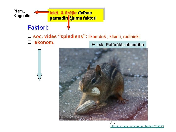 Piem. , Kogn. dis. Iekš. & ārējie rīcības pamudin ājuma faktori Faktori: q soc.