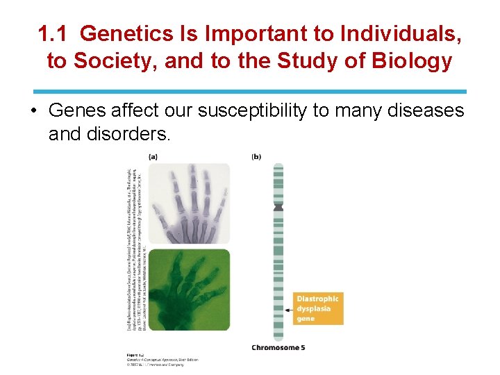 1. 1 Genetics Is Important to Individuals, to Society, and to the Study of