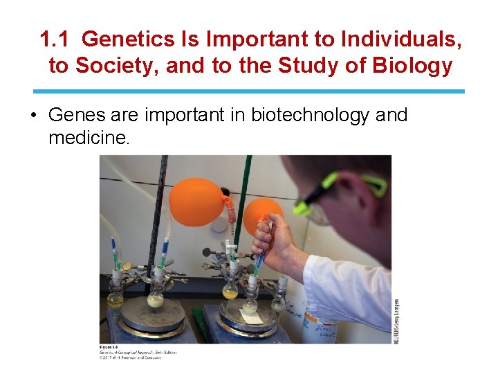 1. 1 Genetics Is Important to Individuals, to Society, and to the Study of