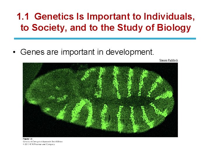1. 1 Genetics Is Important to Individuals, to Society, and to the Study of