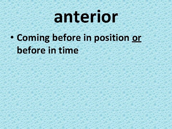 anterior • Coming before in position or before in time 