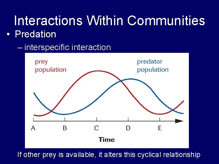 Interactions Within Communities • Predation – interspecific interaction If other prey is available, it