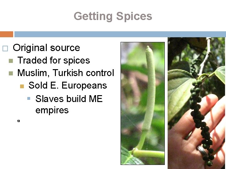 Getting Spices � Original source Traded for spices Muslim, Turkish control Sold E. Europeans