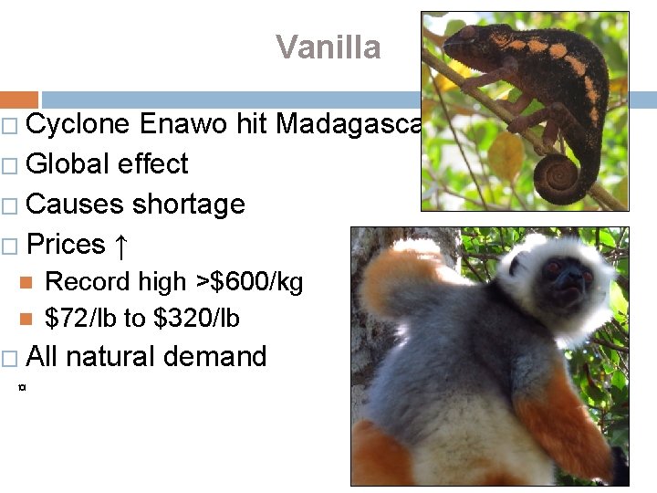 Vanilla � Cyclone Enawo hit Madagascar � Global effect � Causes shortage � Prices