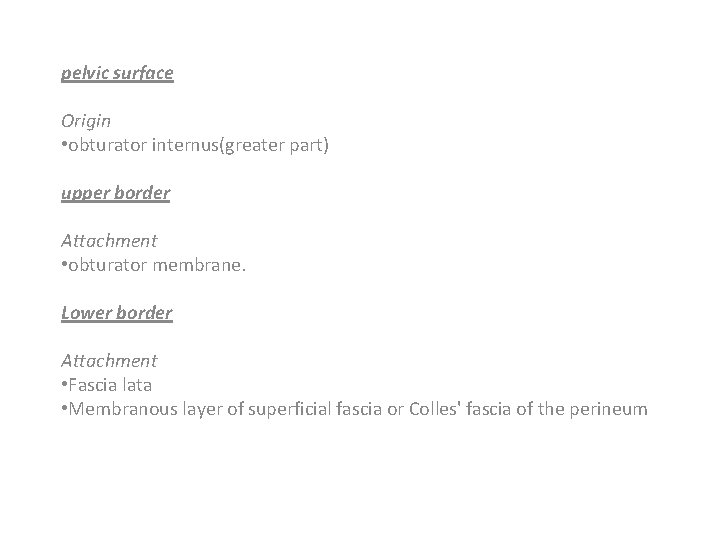 pelvic surface Origin • obturator internus(greater part) upper border Attachment • obturator membrane. Lower pelvic surface Origin • obturator internus(greater part) upper border Attachment • obturator membrane. Lower