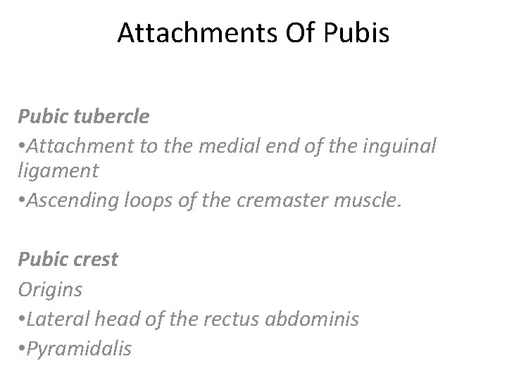 Attachments Of Pubis Pubic tubercle • Attachment to the medial end of the inguinal Attachments Of Pubis Pubic tubercle • Attachment to the medial end of the inguinal