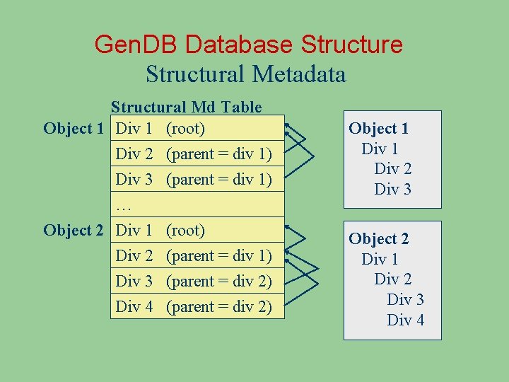 Gen. DB Database Structural Metadata Structural Md Table Object 1 Div 1 (root) Div