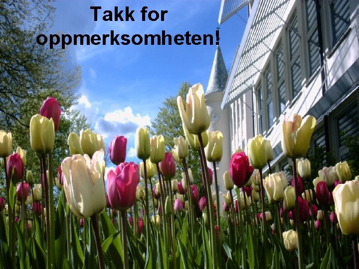 Takk for oppmerksomheten! 