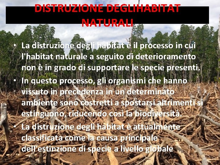 DISTRUZIONE DEGLIHABITAT NATURALI • La distruzione degli habitat è il processo in cui l'habitat